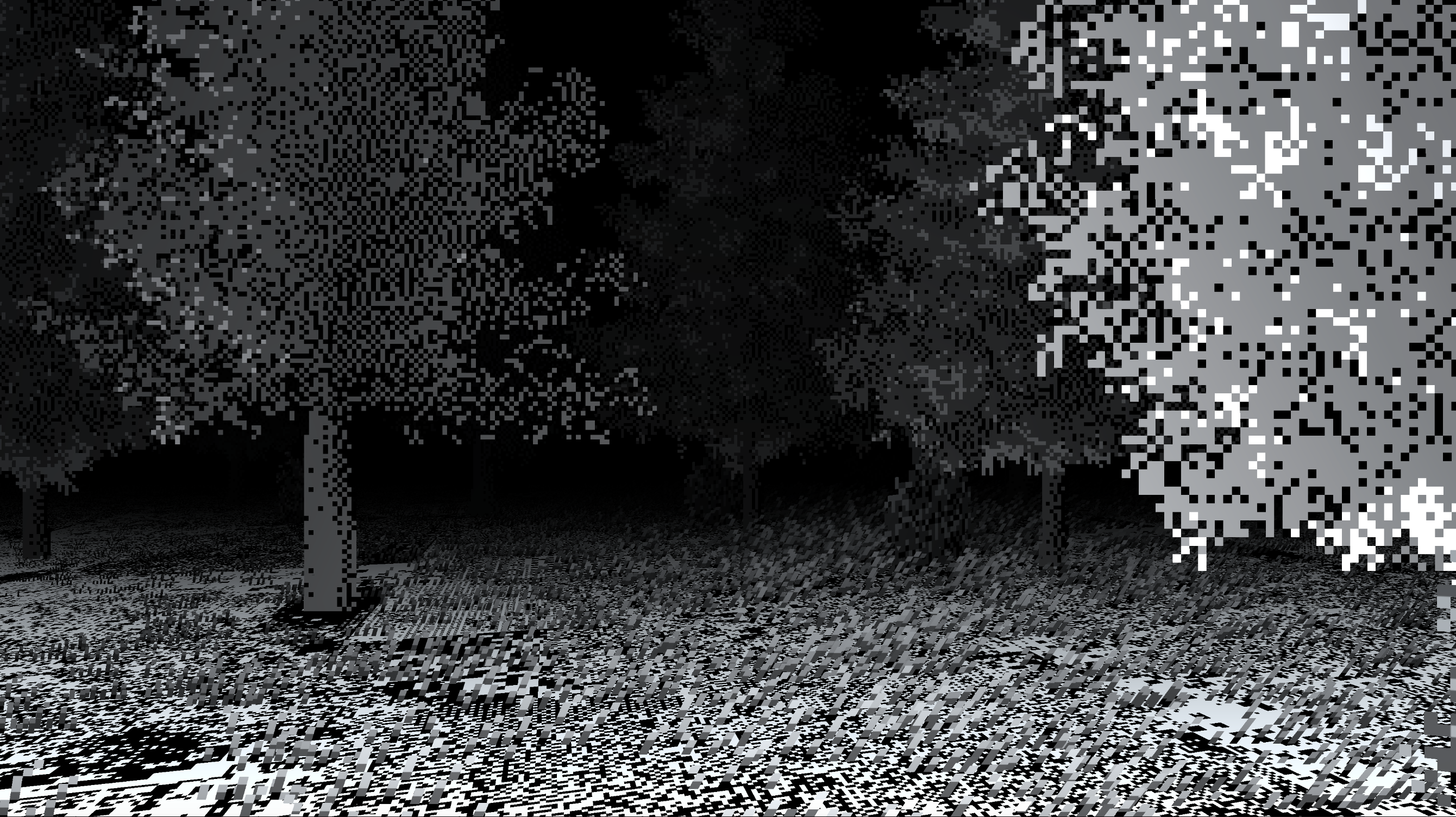 forest01
